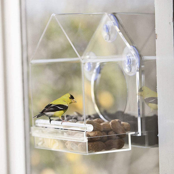 Window Feeder for Birds